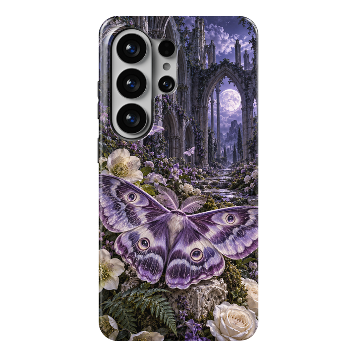 Cathedral of Moths
